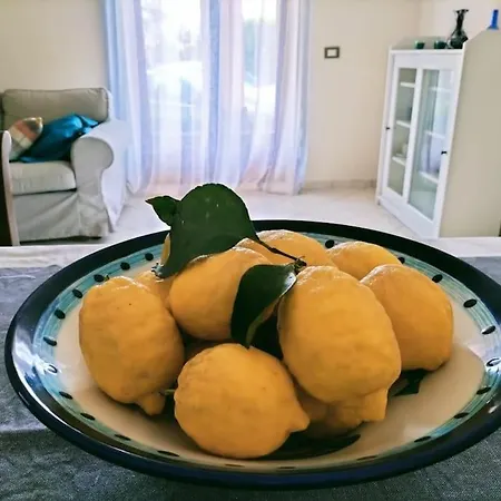 I Gelsi Praia a Mare